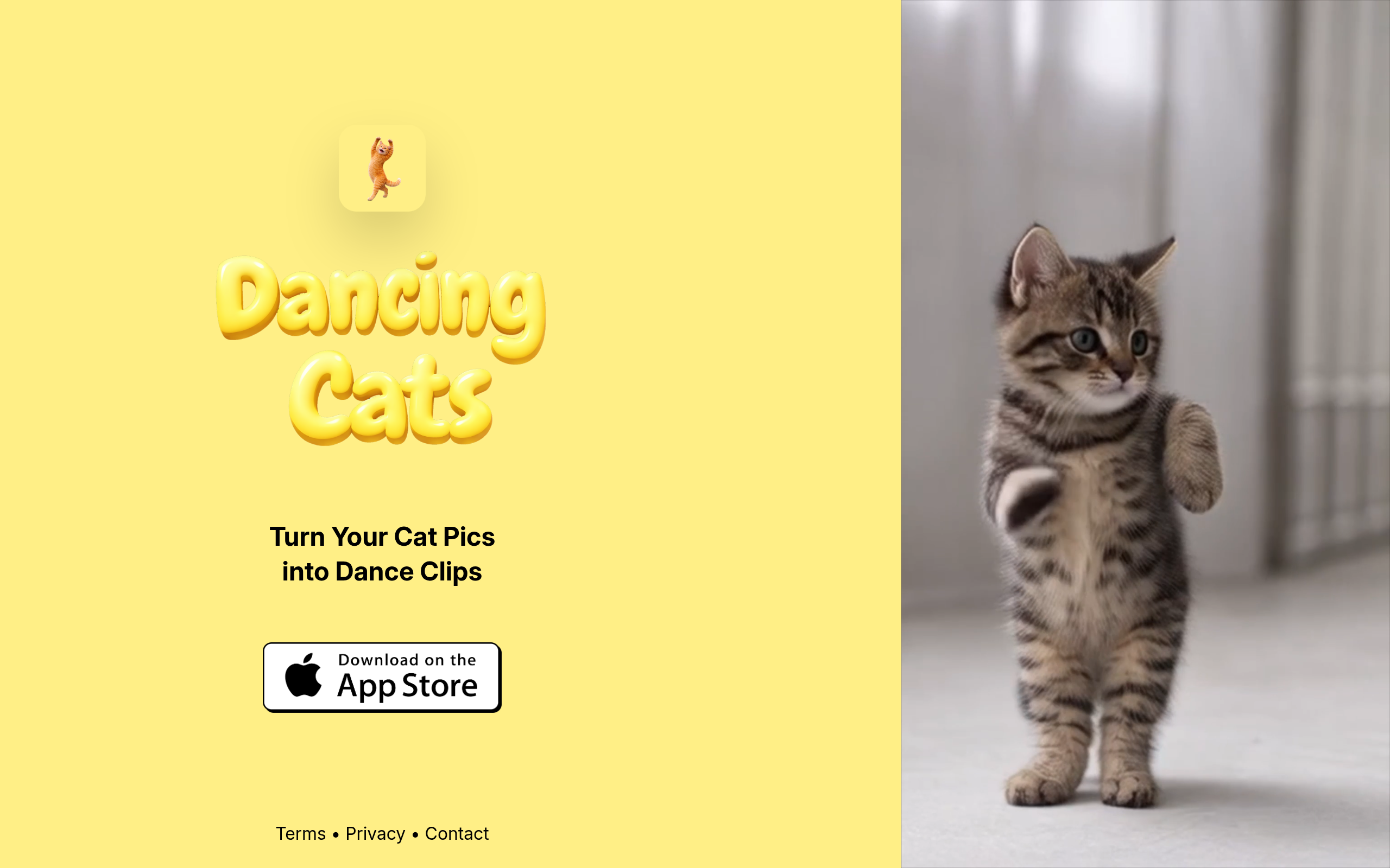 DANCING CATS官网截图
