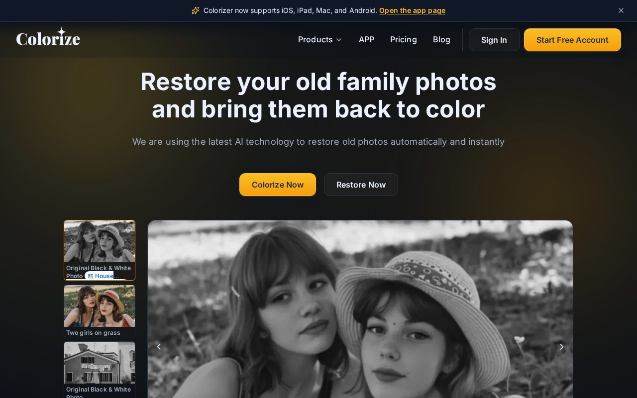 ImageColorizer官网截图