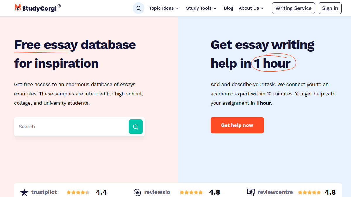 StudyCorgi ChatGPT Detector官网截图