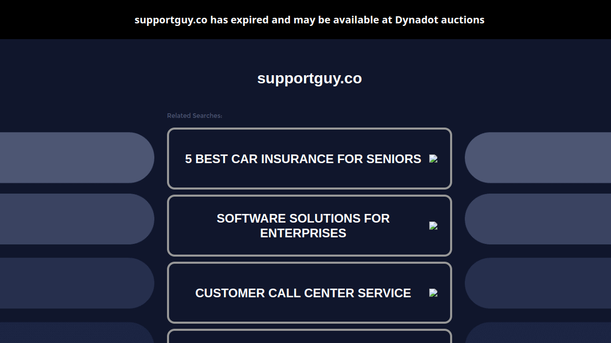 Support Guy官网截图