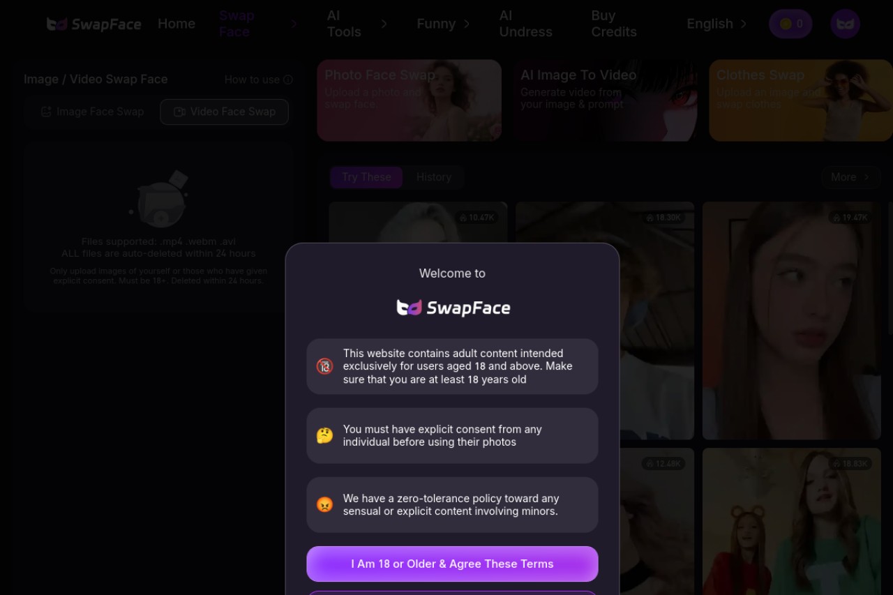 Swapfaces AI官网截图