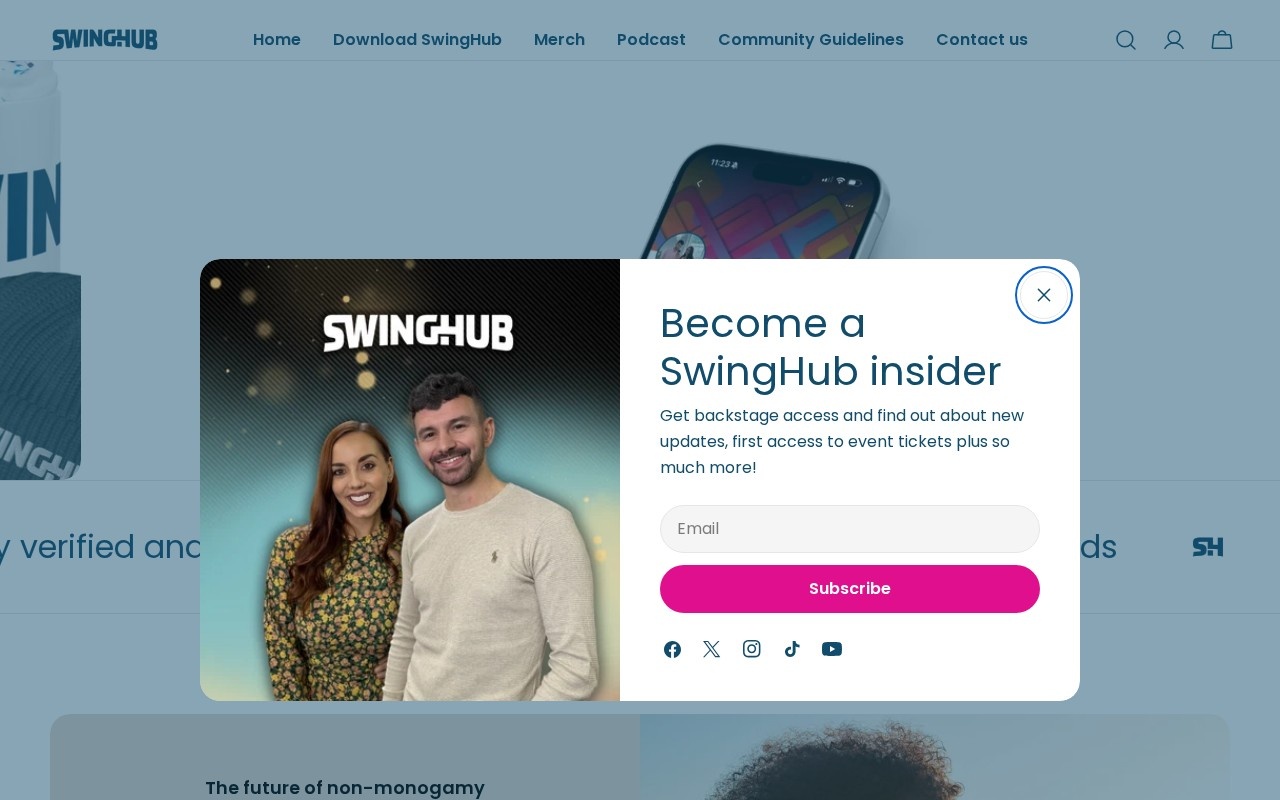 SwingHub官网截图