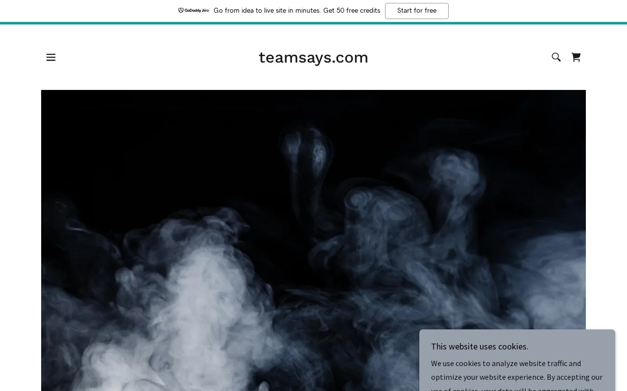 TeamSays官网截图