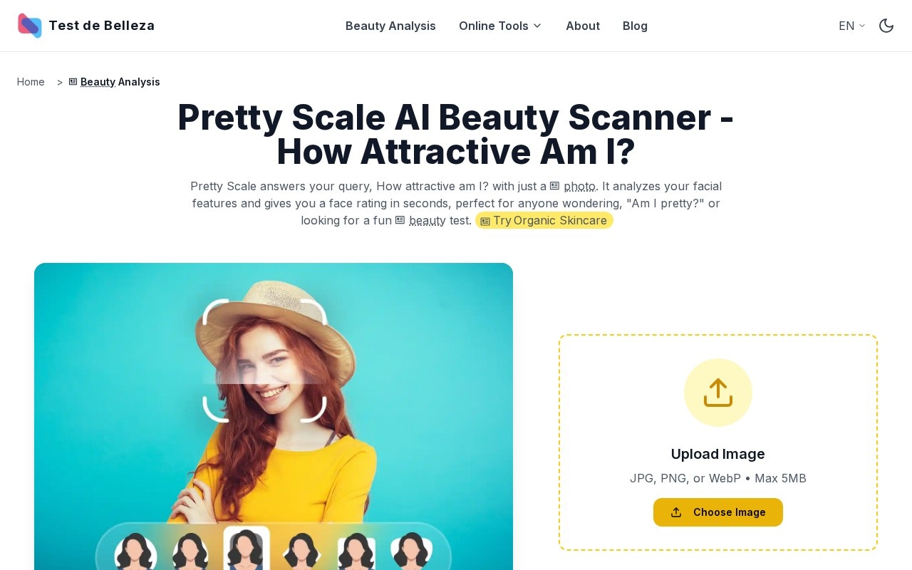Pretty Scale官网截图
