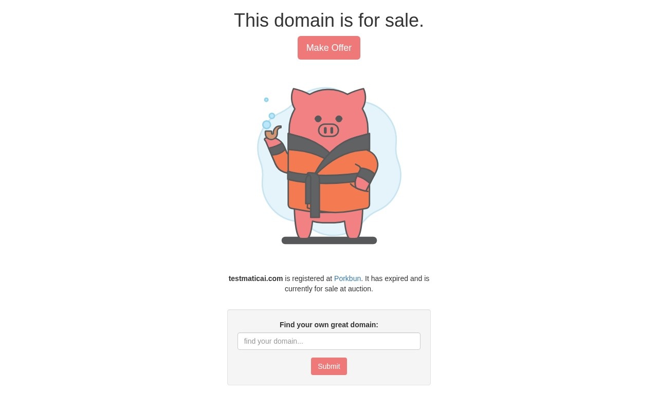 TestMatic官网截图