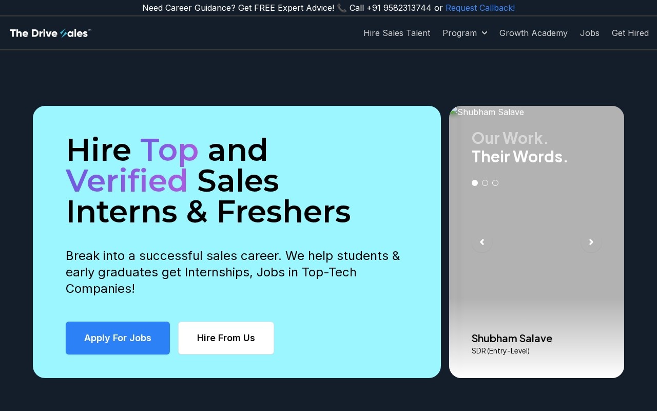 The DriveSales™官网截图