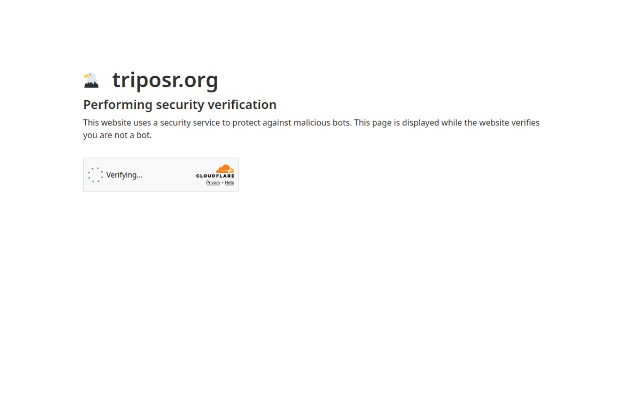 TripoSR官网截图