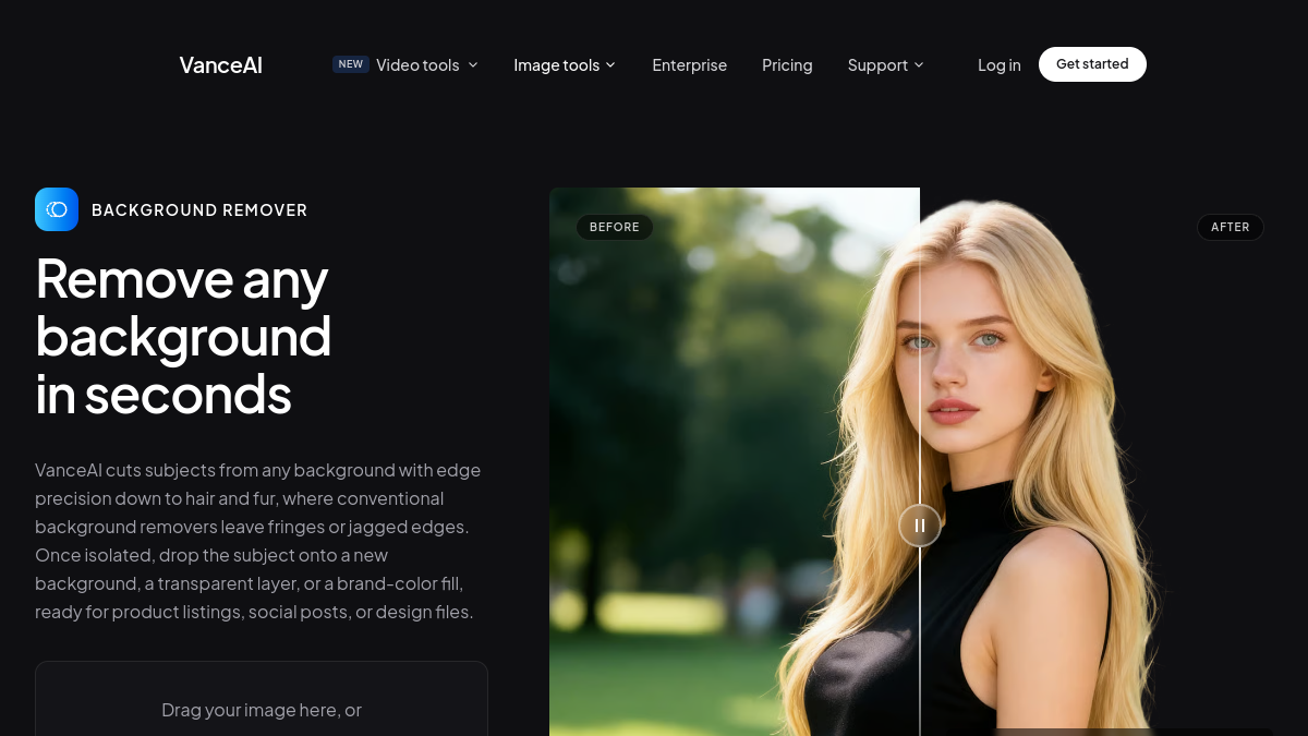 Vance AI Background Remover官网截图