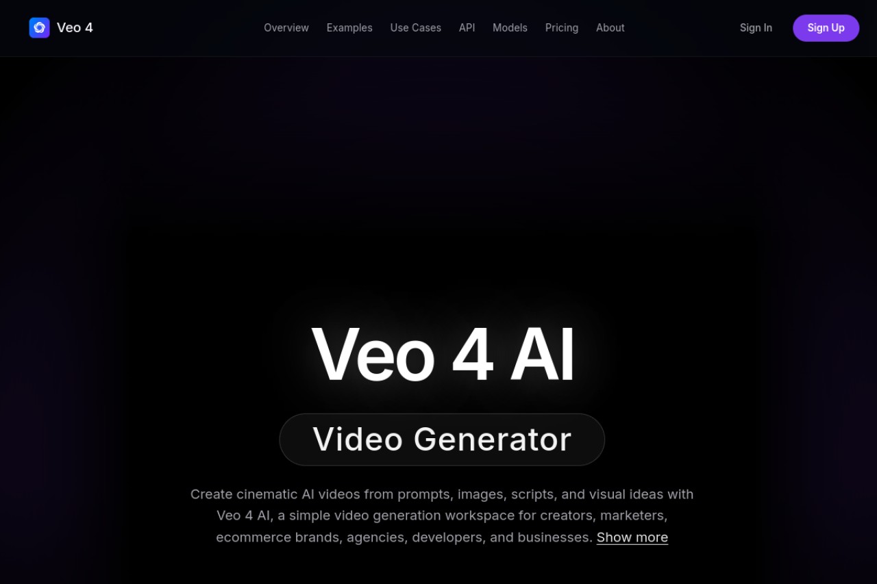 Veo 4官网截图