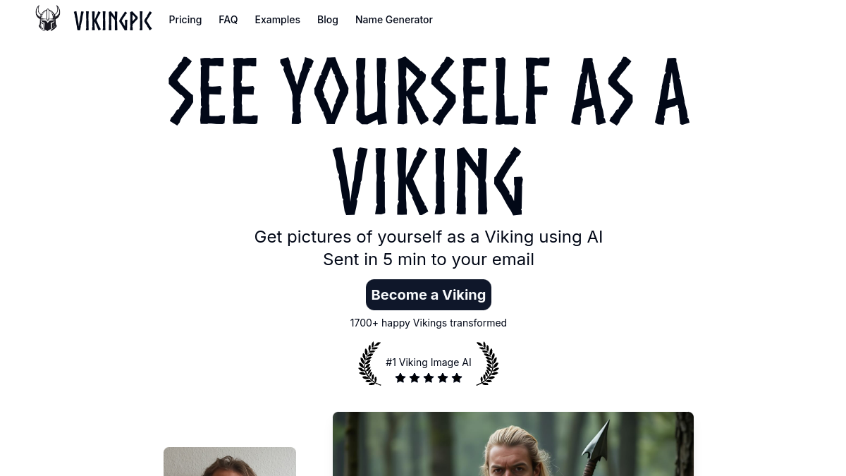 VikingPic官网截图