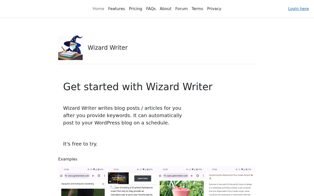 Wizard Writer官网截图