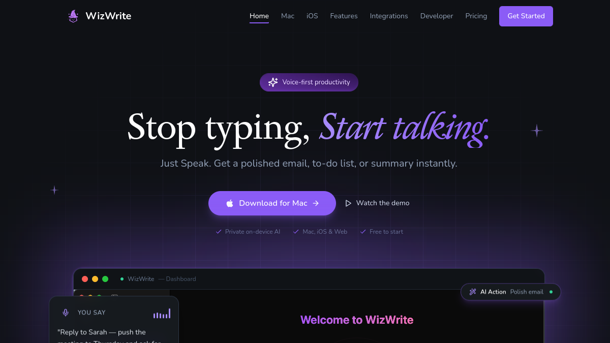 Wiz Write官网截图
