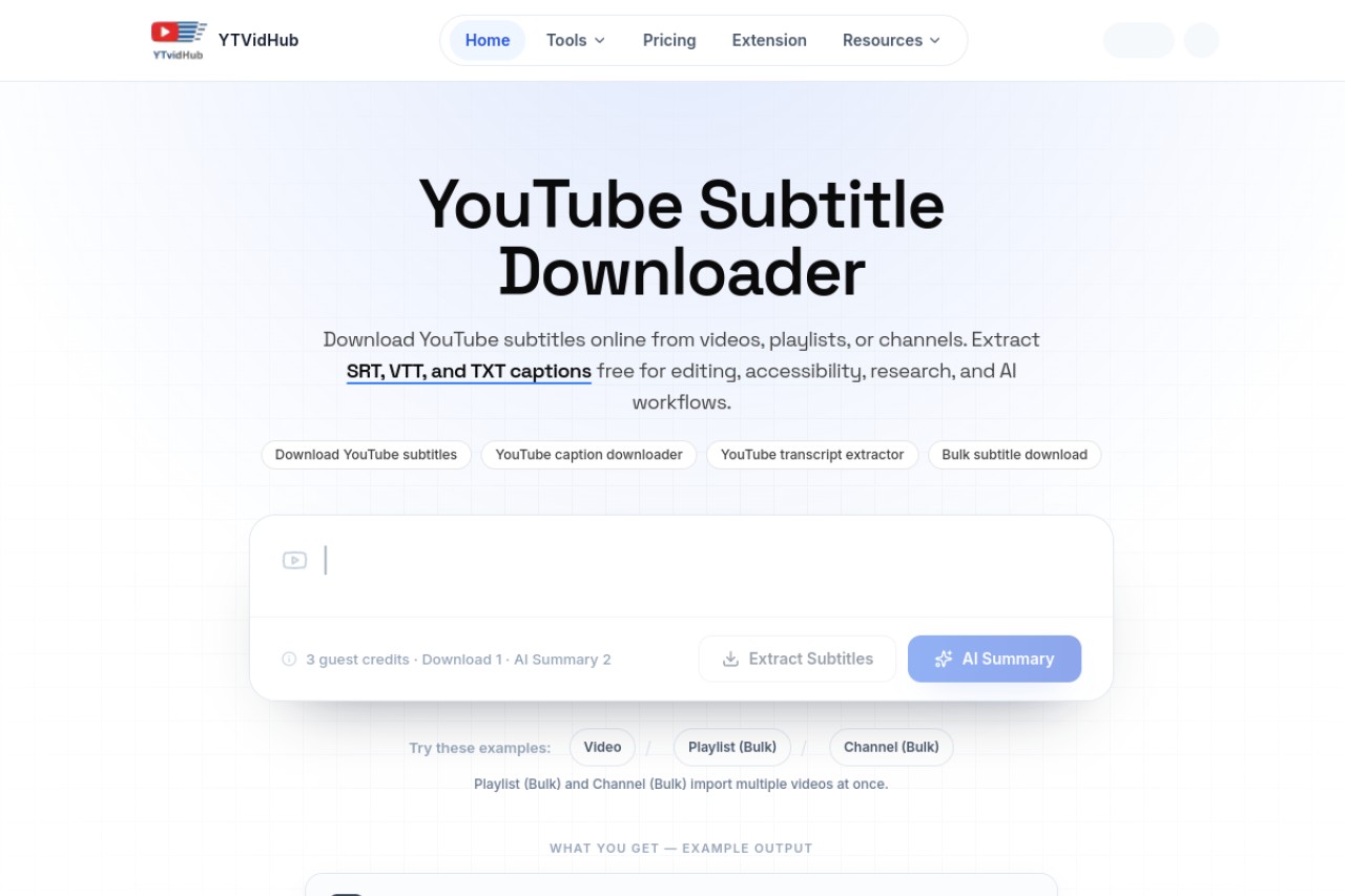 YTVidHub官网截图